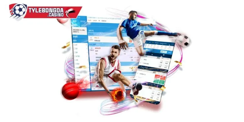 Quyền và Trách Nhiệm Của Người Chơi Trong Điều Khoản Dịch Vụ