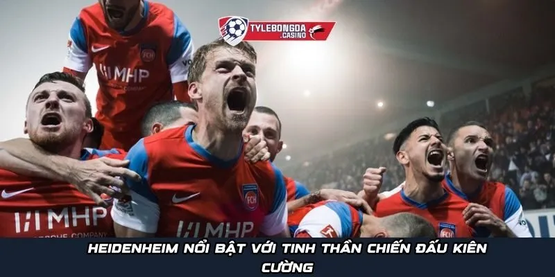 Heidenheim nổi bật với tinh thần chiến đấu kiên cường