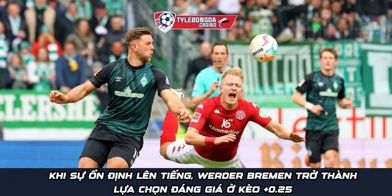 Khi sự ổn định lên tiếng, Werder Bremen trở thành lựa chọn đáng giá ở kèo +0.25