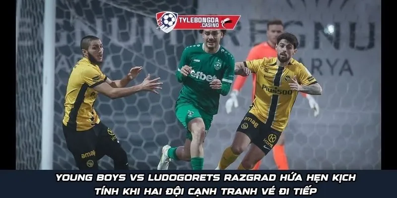 Young Boys vs Ludogorets Razgrad hứa hẹn kịch tính khi hai đội cạnh tranh vé đi tiếp